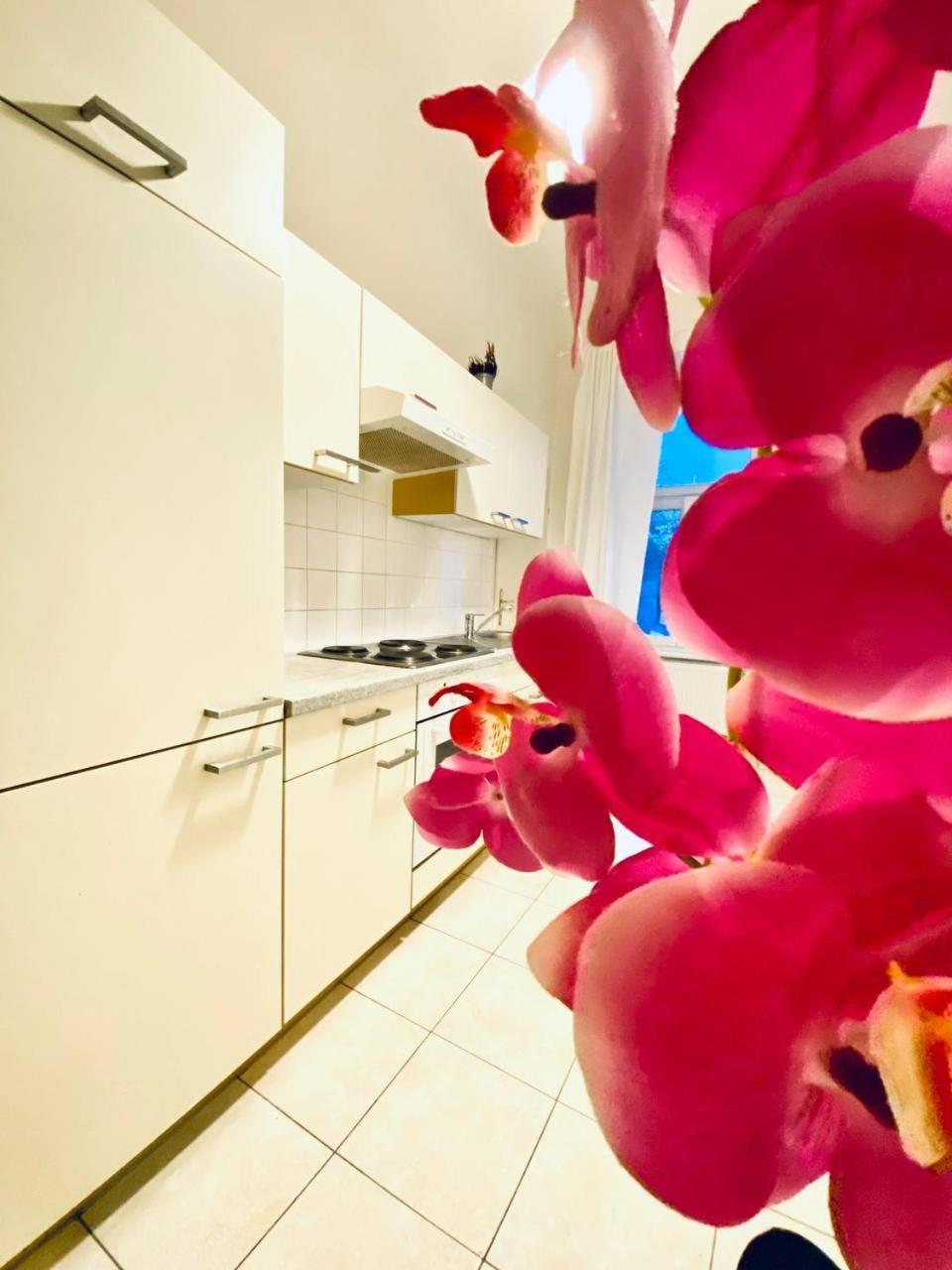 Family Apartment Th8 8 Вена Экстерьер фото