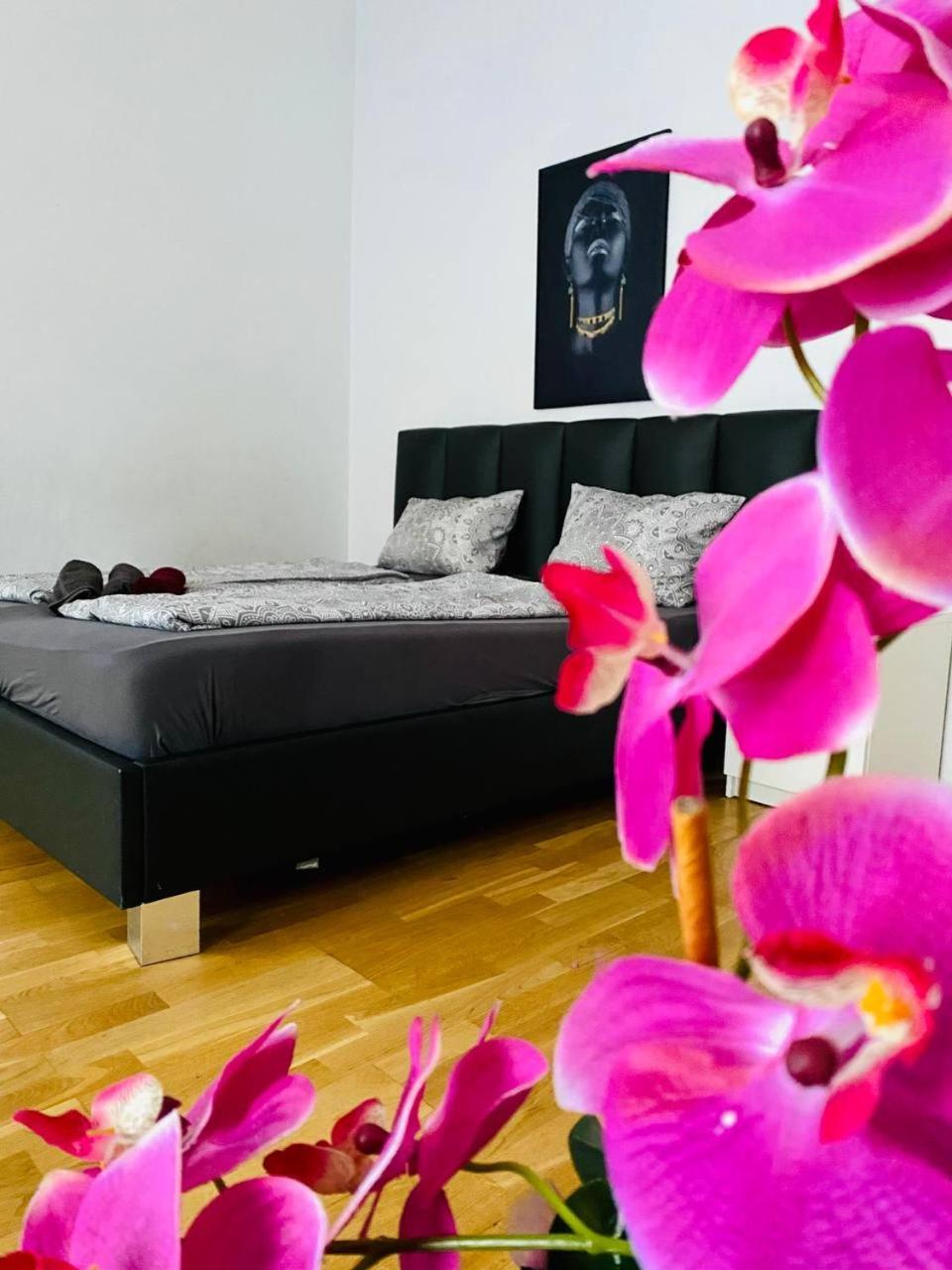 Family Apartment Th8 8 Вена Экстерьер фото